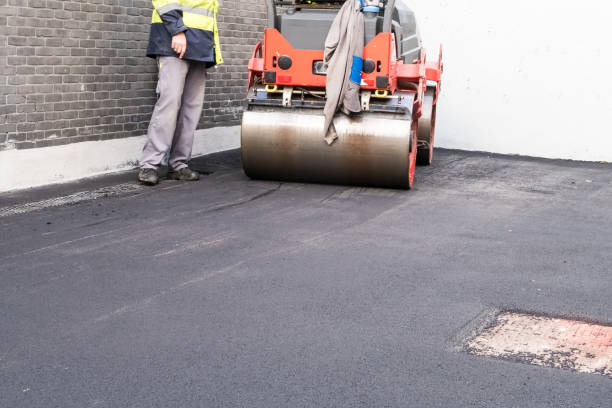 Best Driveway Border and Edging  in Merrifield, VA